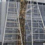 ヒメ日記 2025/10/09 17:40 投稿 ちかこ 即トク奥さん