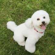 ヒメ日記 2025/10/22 22:50 投稿 ちかこ 即トク奥さん