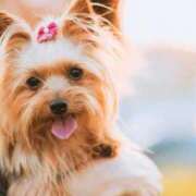 ヒメ日記 2025/10/31 22:39 投稿 ちかこ 即トク奥さん