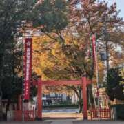 ヒメ日記 2025/11/17 17:40 投稿 ちかこ 即トク奥さん