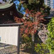 ヒメ日記 2025/11/20 17:03 投稿 ちかこ 即トク奥さん