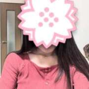 ヒメ日記 2025/11/23 00:40 投稿 ちかこ 即トク奥さん