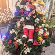 ヒメ日記 2025/11/25 20:38 投稿 ちかこ 即トク奥さん