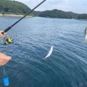 ヒメ日記 2025/12/11 19:30 投稿 ちかこ 即トク奥さん