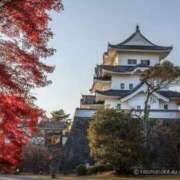 ヒメ日記 2025/12/23 22:50 投稿 ちかこ 即トク奥さん