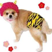 ヒメ日記 2026/02/03 20:10 投稿 ちかこ 即トク奥さん