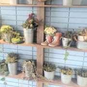 ヒメ日記 2026/02/06 18:40 投稿 ちかこ 即トク奥さん