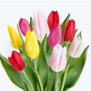 ヒメ日記 2026/02/18 15:20 投稿 ちかこ 即トク奥さん