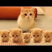 ヒメ日記 2026/02/20 21:20 投稿 ちかこ 即トク奥さん