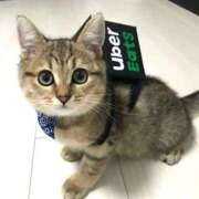 ヒメ日記 2026/02/22 19:40 投稿 ちかこ 即トク奥さん