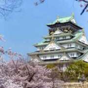 ヒメ日記 2026/03/29 20:20 投稿 ちかこ 即トク奥さん