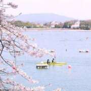 ヒメ日記 2026/03/29 23:25 投稿 ちかこ 即トク奥さん