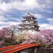 ヒメ日記 2026/04/05 18:05 投稿 ちかこ 即トク奥さん