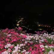 ヒメ日記 2026/04/15 00:03 投稿 ちかこ 即トク奥さん