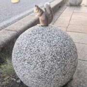 ヒメ日記 2026/05/05 18:50 投稿 ちかこ 即トク奥さん