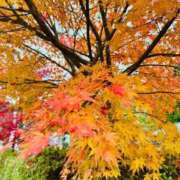 ヒメ日記 2024/12/20 07:57 投稿 みちは★容姿端麗◎正統派美女 ViVi-ヴィヴィ-(金津園)