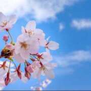 ヒメ日記 2025/03/25 08:37 投稿 みちは★容姿端麗◎正統派美女 ViVi-ヴィヴィ-(金津園)