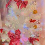 ヒメ日記 2024/12/24 18:25 投稿 花島あかね コウテイ