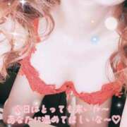 ヒメ日記 2025/01/10 12:30 投稿 花島あかね コウテイ