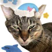 ヒメ日記 2025/01/28 02:15 投稿 花島あかね コウテイ