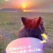 ヒメ日記 2025/02/08 02:15 投稿 花島あかね コウテイ