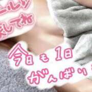 ヒメ日記 2025/03/15 08:35 投稿 花島あかね コウテイ