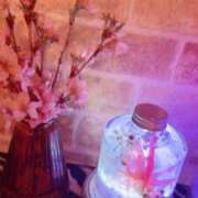 ヒメ日記 2025/03/25 17:40 投稿 花島あかね コウテイ