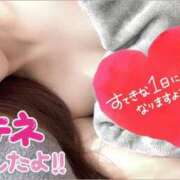 ヒメ日記 2025/04/08 11:45 投稿 花島あかね コウテイ