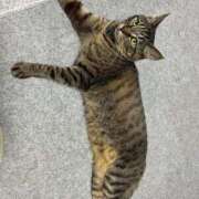 ヒメ日記 2025/06/17 15:44 投稿 花島あかね コウテイ