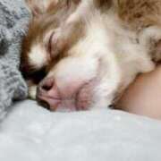 ヒメ日記 2025/06/19 16:35 投稿 花島あかね コウテイ