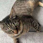 ヒメ日記 2025/07/17 12:55 投稿 花島あかね コウテイ