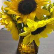 ヒメ日記 2025/07/20 16:48 投稿 花島あかね コウテイ