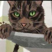 ヒメ日記 2025/07/28 15:16 投稿 花島あかね コウテイ