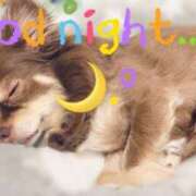 ヒメ日記 2025/07/29 02:05 投稿 花島あかね コウテイ