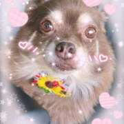 ヒメ日記 2025/07/29 13:45 投稿 花島あかね コウテイ