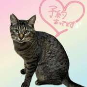 ヒメ日記 2025/07/30 14:10 投稿 花島あかね コウテイ