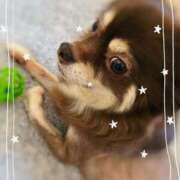 ヒメ日記 2025/08/03 14:09 投稿 花島あかね コウテイ