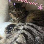 ヒメ日記 2025/08/11 01:25 投稿 花島あかね コウテイ