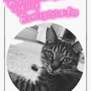 ヒメ日記 2025/08/12 13:55 投稿 花島あかね コウテイ