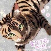 ヒメ日記 2025/08/23 13:16 投稿 花島あかね コウテイ