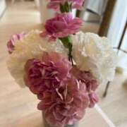 ヒメ日記 2025/09/16 13:35 投稿 花島あかね コウテイ