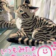 ヒメ日記 2025/09/20 13:35 投稿 花島あかね コウテイ