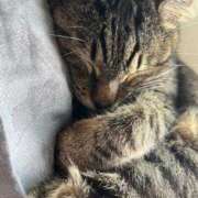 ヒメ日記 2025/09/30 20:15 投稿 花島あかね コウテイ