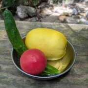 ヒメ日記 2025/10/19 14:36 投稿 花島あかね コウテイ