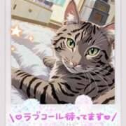 ヒメ日記 2025/10/21 10:25 投稿 花島あかね コウテイ