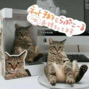 ヒメ日記 2025/10/22 19:29 投稿 花島あかね コウテイ