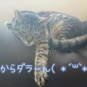 ヒメ日記 2025/11/05 14:05 投稿 花島あかね コウテイ