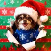 花島あかね |´-`)ﾁﾗｯ コウテイ