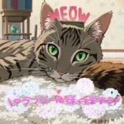 ヒメ日記 2026/01/03 18:05 投稿 花島あかね コウテイ