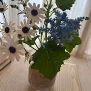 ヒメ日記 2026/02/06 18:25 投稿 花島あかね コウテイ